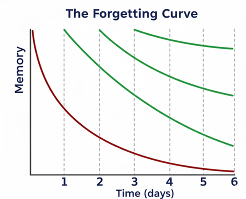 Ebbinghaus Forgetting Curve Graph